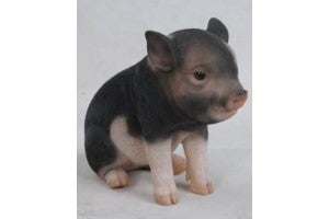 Black and pink Pig