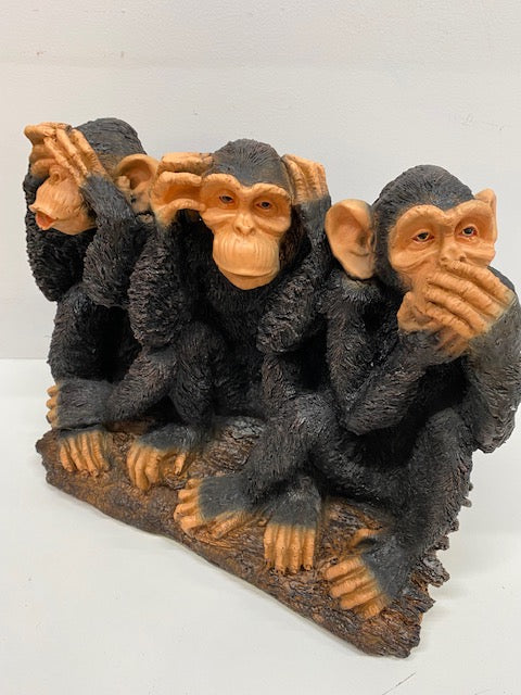 Chimpanzé Comique